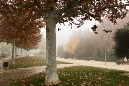 Les fulles cauen, arriba la boira i comença a fer fred.