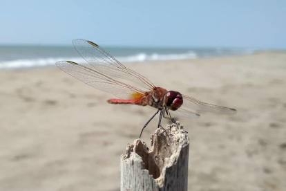 12a edició del concurs de fotos de vacances d'estiu