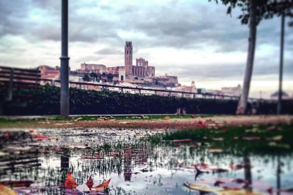 La Seu Vella de Lleida neda entre les fulles.