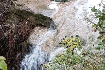 Les fulles cauen, arriba la boira i comença a fer fred.