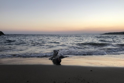 12a edició del concurs de fotos de vacances d'estiu