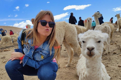 Amb les llames influencers de les Pampas Cañahuas d'Arequipa. (Perú)