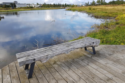 Sturlugata, afores de Reykjavik