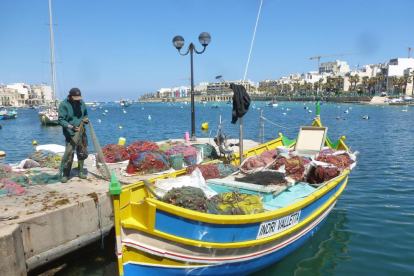 Posant ordre a les xarxes. Pescador de Marsaskala a l'illa de Malta.