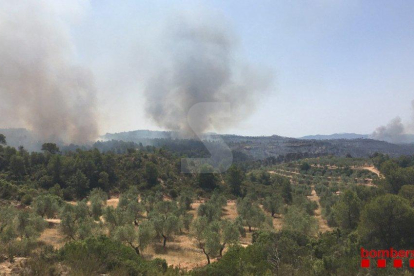 Desalojados en Lleida por el gran fuego de Ribera d'Ebre