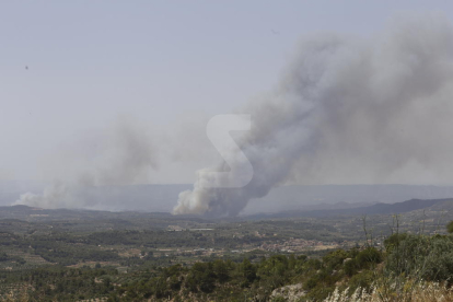 Imatges de l'incendi de la Ribera d'Ebre, que afecta a diversos indrets de les Garrigues i el Segrià