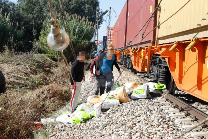Desenes de persones desvalisen el tren accidentat de Continental Rail a Puigverd de Lleida
