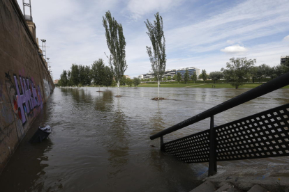 El riu Segre a Balaguer, on va assolir una punta màxima de 380 metres cúbics per segon.