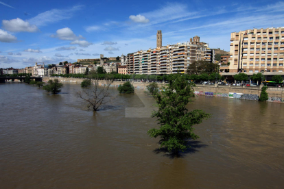 El riu Segre al seu pas per la ciutat de Lleida aquest dilluns,