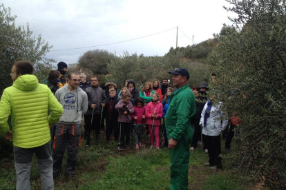 Los participantes en la caminata por fincas de olivos de Juncosa. 