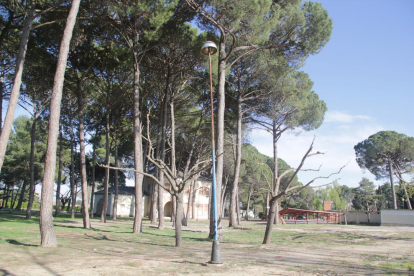 La zona de l’entrada del parc de les Basses, en una imatge presa ahir.