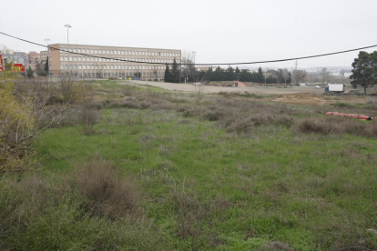 Vista de los terrenos donde está previsto el nuevo centro comercial, con el instituto Joan Oró y el Camp Escolar al fondo.