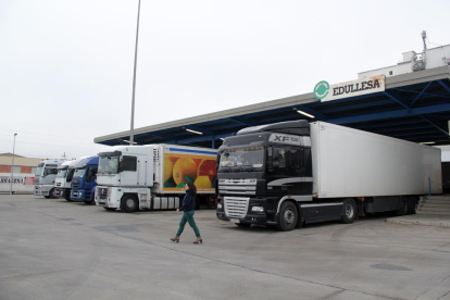 Imagen de camiones esperando para poder pasar los trámites de inspección ayer en Edullesa.