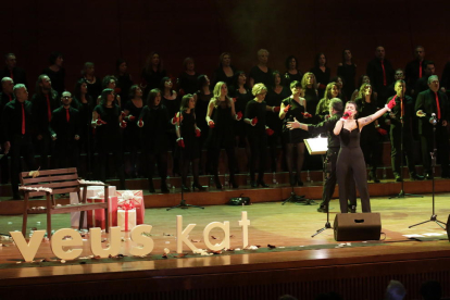 La nau central de la Seu Vella va acollir ahir el concert de Nadal del 20è aniversari de L’Intèrpret, acompanyats per la soprano Iolanda Dolcet.