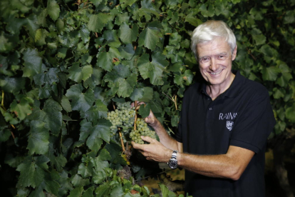 Xavier Farré, director de viticultura de Raimat, con las primeras uvas recolectadas anoche.