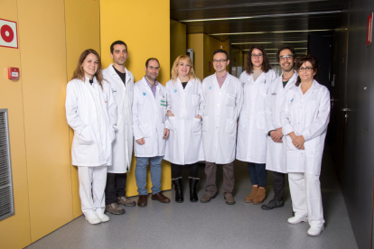 El Grupo de Neuroinmunología del Instituto de Investigación Biomédica de Lleida Fundación Dr. Pifarré