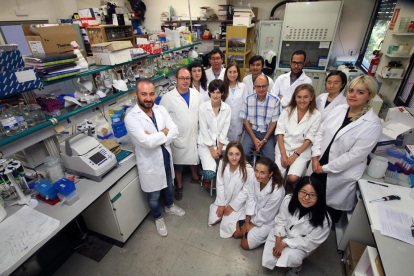 El grupo de investigación que lidera el profesor Paul Christou, ayer en su laboratorio en la facultad de Agrónomos.