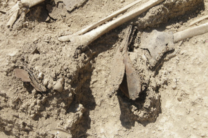 Els treballs han deixat al descobert els disset cossos, que van ser enterrats en línia, i també elements d’indumentària militar com botes o cartutxeres.