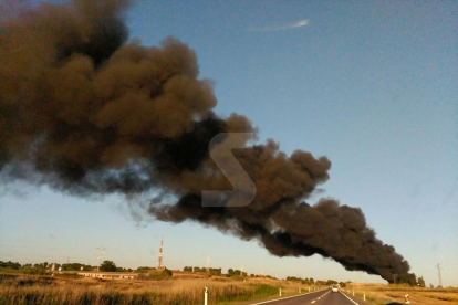Espectacular incendi de residus a l'exterior d'una nau als afores de Lleida al costat de la N-240