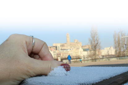 Un joven muestra una placa de hielo de uno de los pequeños estanques de los Camps Elisis de Lleida