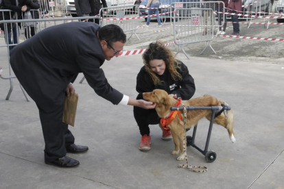 Nombrós públic ahir a Fira Natura de Lleida (esquerra), que va acollir a l’exterior un espai per promoure l’adopció d’animals de companyia (dreta).