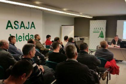 Imatge de la reunió de la sectorial de la fruita d’Asaja.