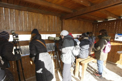 Participantes en el censo de aves que tuvo lugar en la Mitjana, en un momento de la observación.