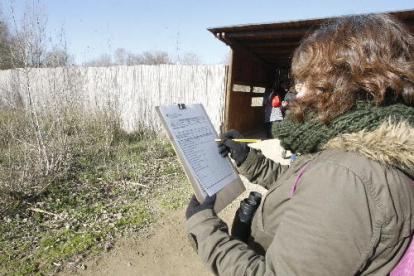 Participants en el cens d’aus que va tenir lloc a la Mitjana, en un moment de l’observació.