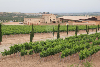 Vista de les vinyes i el celler de Torres a Les Garrigues.