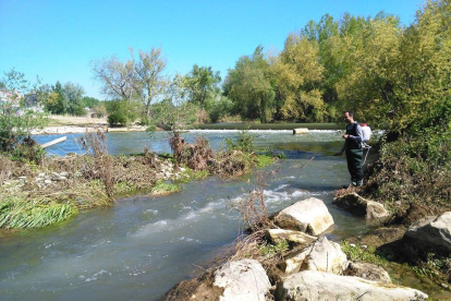 Actuaciones contra la mosca negra y los mosquitos y limpieza del río Segre en Lleida