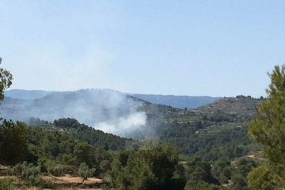 Una imatge de l'incendi forestal a Juncosa