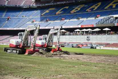 Los trabajos de renovación del césped del Camp Nou.