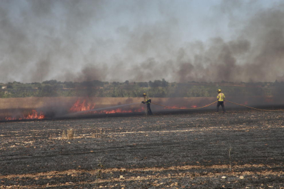 Efectivos de los Bomberos trabajaron ayer en dos incendios de vegetación agrícolas declarados en Artesa de Lleida. 