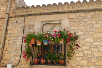 Balcó florit al poble de Tarrés, comarca de les Garrigues.