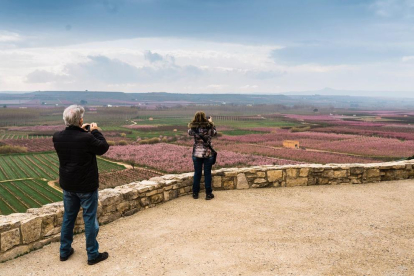 Aitona, Torres de Segre i Montoliu estrenen les rutes per veure els camps rosats
