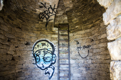 Apareixen dos grans grafitis fets des de les escales del monument i també a les parets interiors