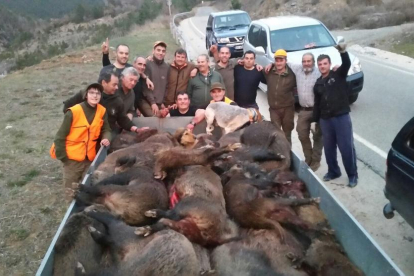 Batida de caza de jabalíes en el Alt Urgell, en mayo de 2016.