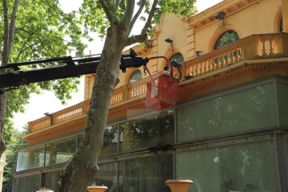 La Paeria lo arregla después de que okupas vandálicos se llevaran cableado y grifería