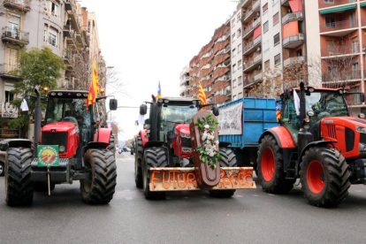 Imagen general de la concentración de la Marxa Pagesa en la avenida Maria Cristina de Barcelona.