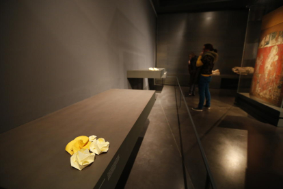 Flores amarillas en las estanterías vacías del Museu de Lleida. 