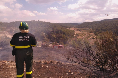 Una agente rural trabajando en el incendio de L’Espluga Calba. A la derecha, la extensión calcinada en Torregrossa.