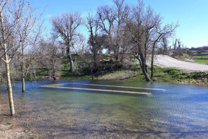 El pozo de Madern de Vicfred se convierte en un lago tras las lluvias