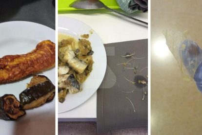 El sindicat compta amb fotos com aquestes de peix ple d'espines, una truita més que dura i un plàstic trobat en un plat. GSS afirma que són de “fa temps”.