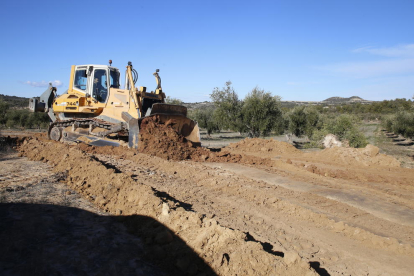 Obras de desbroce en Cervià de les Garrigues para la instalación de tuberías de las redes secundaria y terciaria del canal.