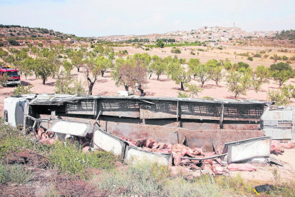 Imagen del camión volcado tras caer por un terraplén en Maldà.