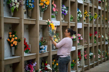 Preparativos en el cementerio de Lleida por Todos los Santos