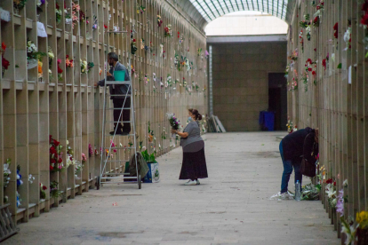 Preparativos en el cementerio de Lleida por Todos los Santos