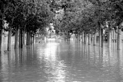 Vista de la Rambla Ferran de Lleida inundada.