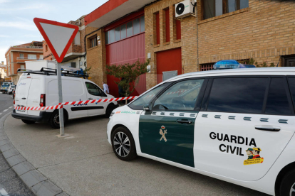 Cau una xarxa de tràfic de 'maria' amb 2 detinguts i 700 plantes a Torre-serona