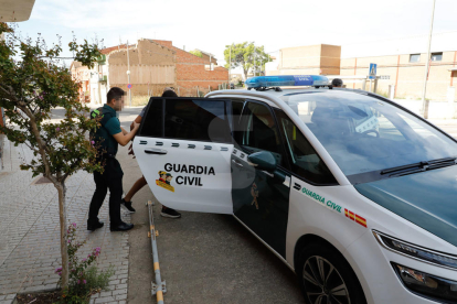 Cau una xarxa de tràfic de 'maria' amb 2 detinguts i 700 plantes a Torre-serona